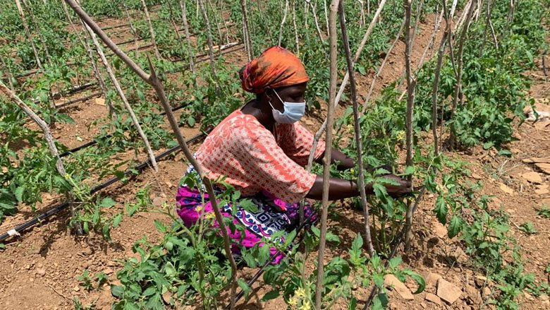 Call for Innovators!

Apply for the Data for Soil Health &amp; Innovation Challenges &amp;:
✅ Showcase your groundbreaking ideas
✅ Network with industry experts
✅ Access high-value datasets
✅ Gain visibility &amp; support
📅 Deadline: March 31, 2025
🔗 Apply now: bit.ly/3DR9o6c
