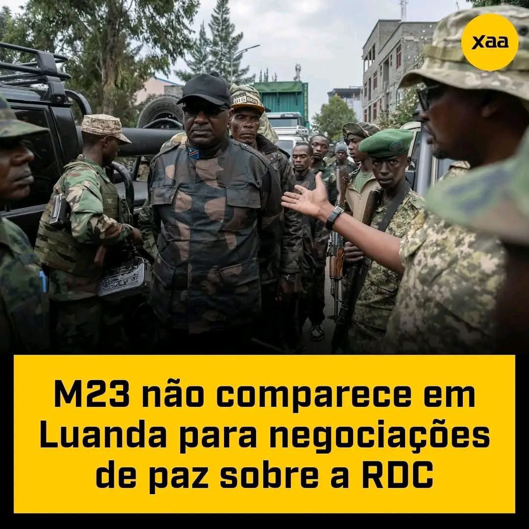 lobo23mau's tweet photo. Faz todo sentido ausência do M23 em Angola. Que garantias de segurança eles terão depois do que ouve no dia 13 no aeroporto 4 de fevereiro com os ex presidentes? 
A diplomacia Angolana é amadora https://t.co/nQ2BRIEDx7