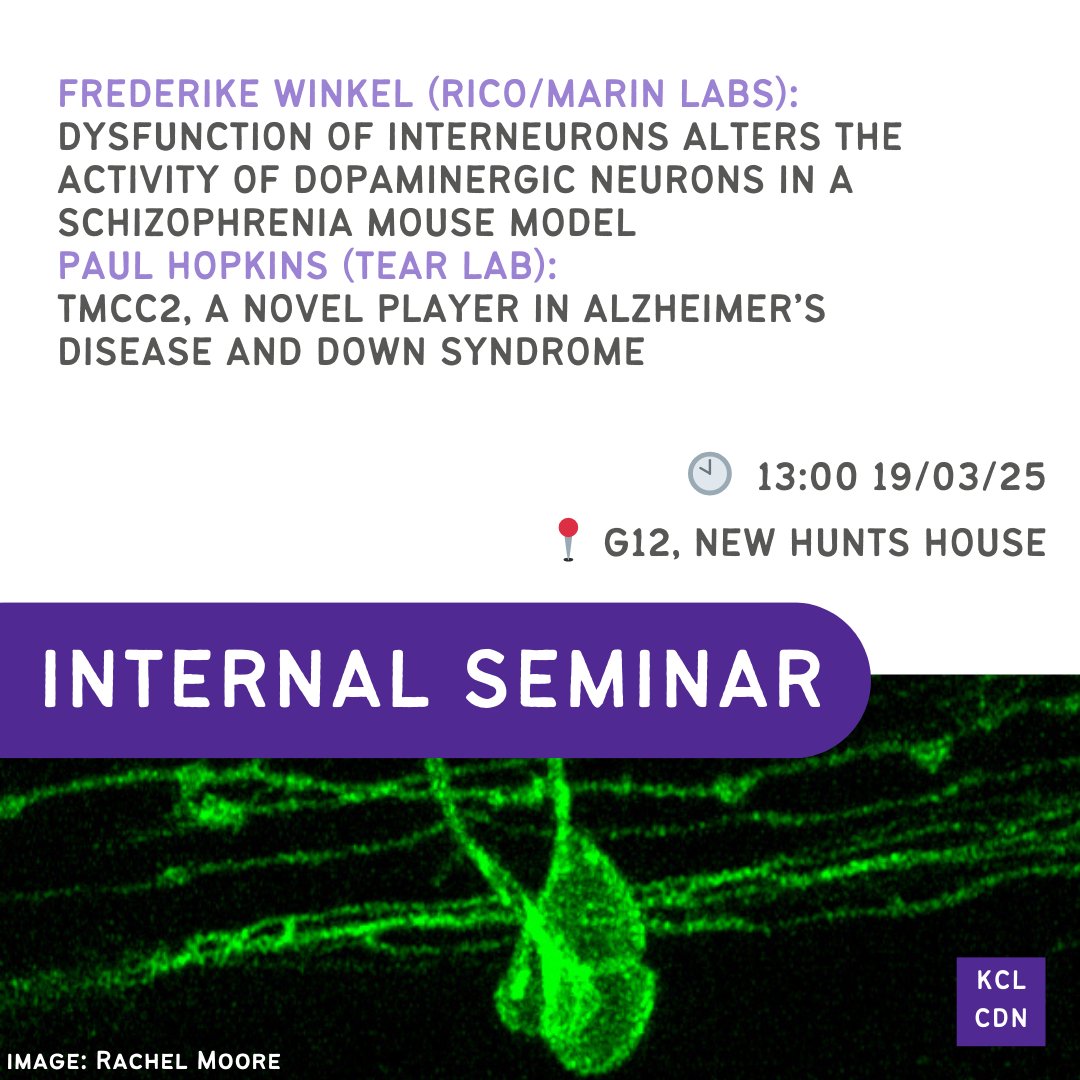dev_neuro's tweet image. Join us today at 1pm for our internal seminar series!