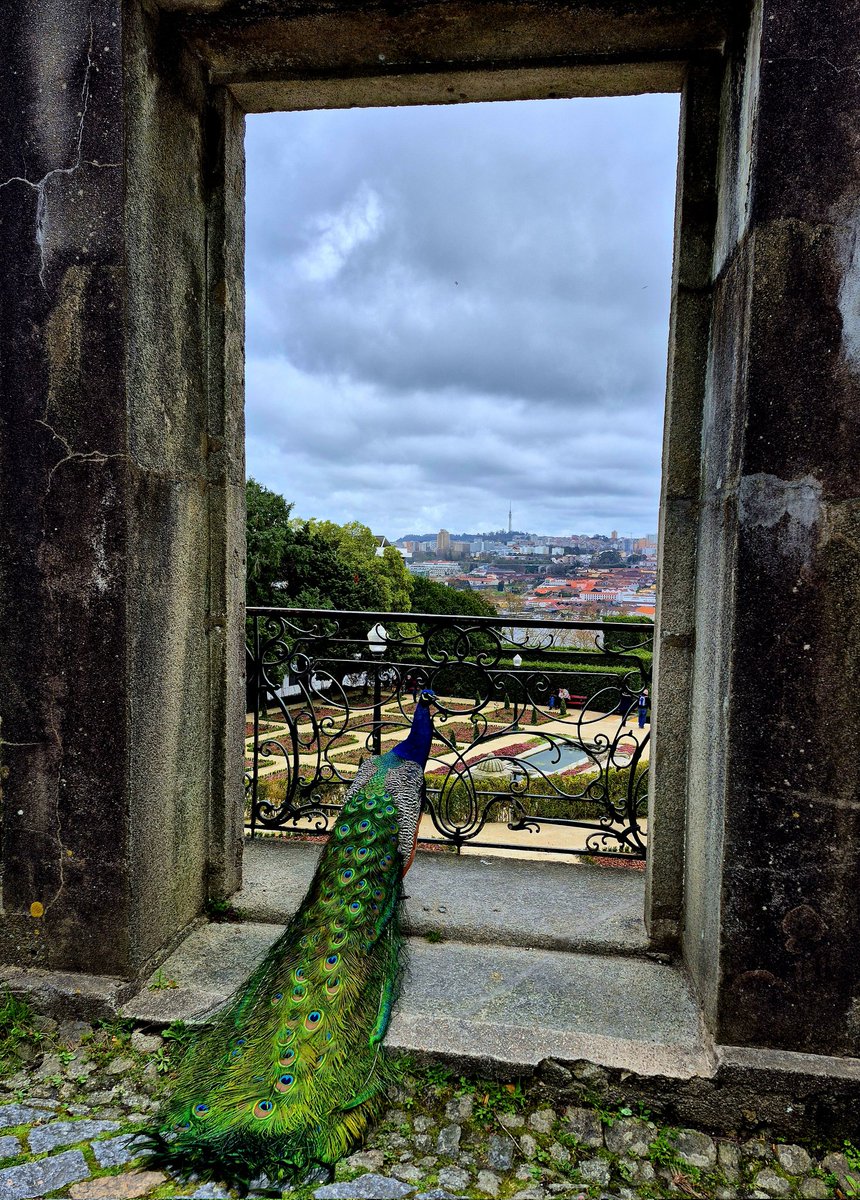 Sallyann Woodthorpe 💙🌈 tweet media