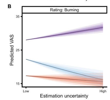 In contrast, second-order uncertainty, reflecting how unsure you are about the precision of your own predictions, actually intensified the illusion of pain. This means that when thermal expectations are uncertain, the brain interprets these ambiguous stimuli as more painful!