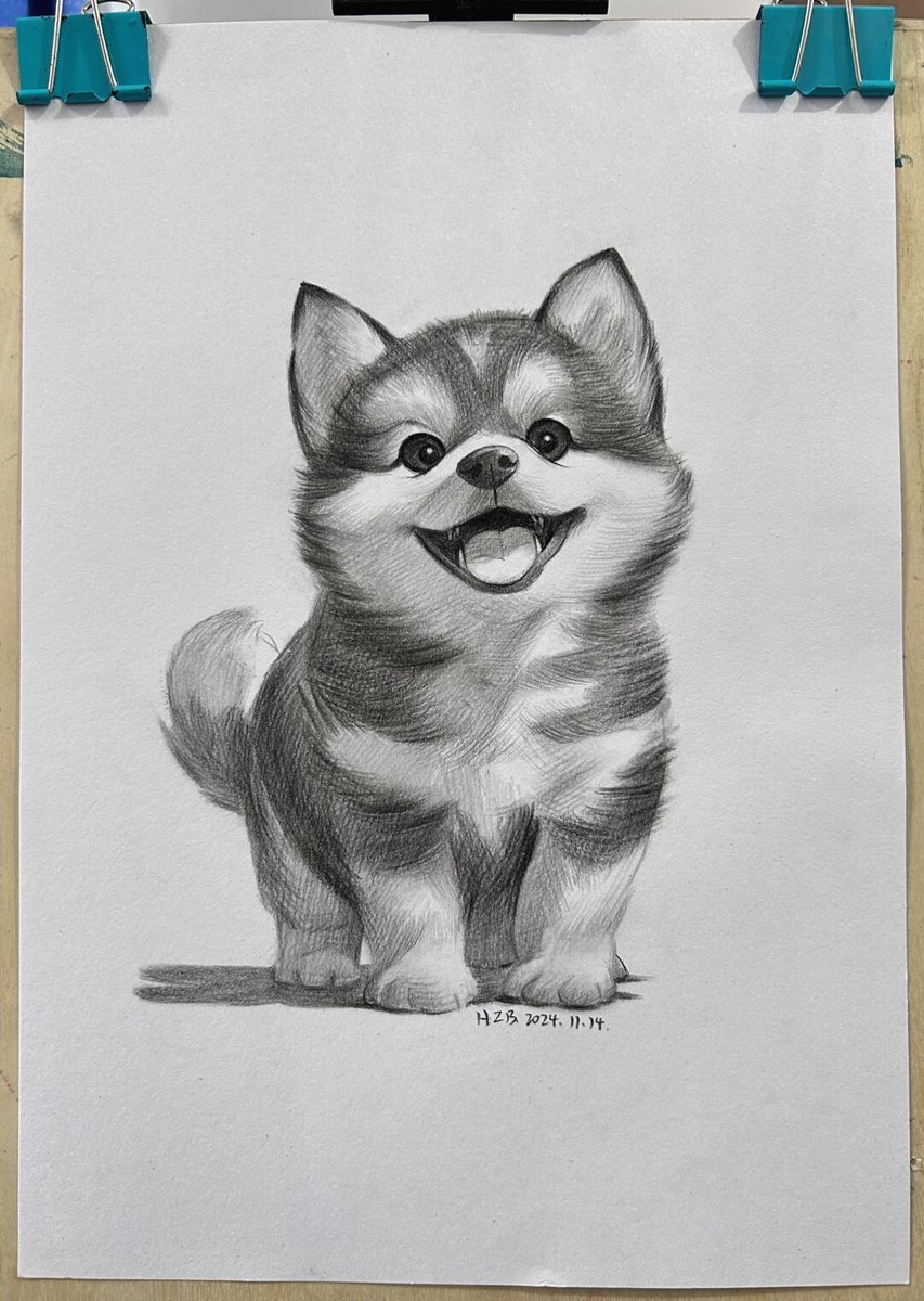 Post your puppies and see whose is the cutest. #sketchanimals #dogs #alaska [ #painting steps #drawing #handpainting