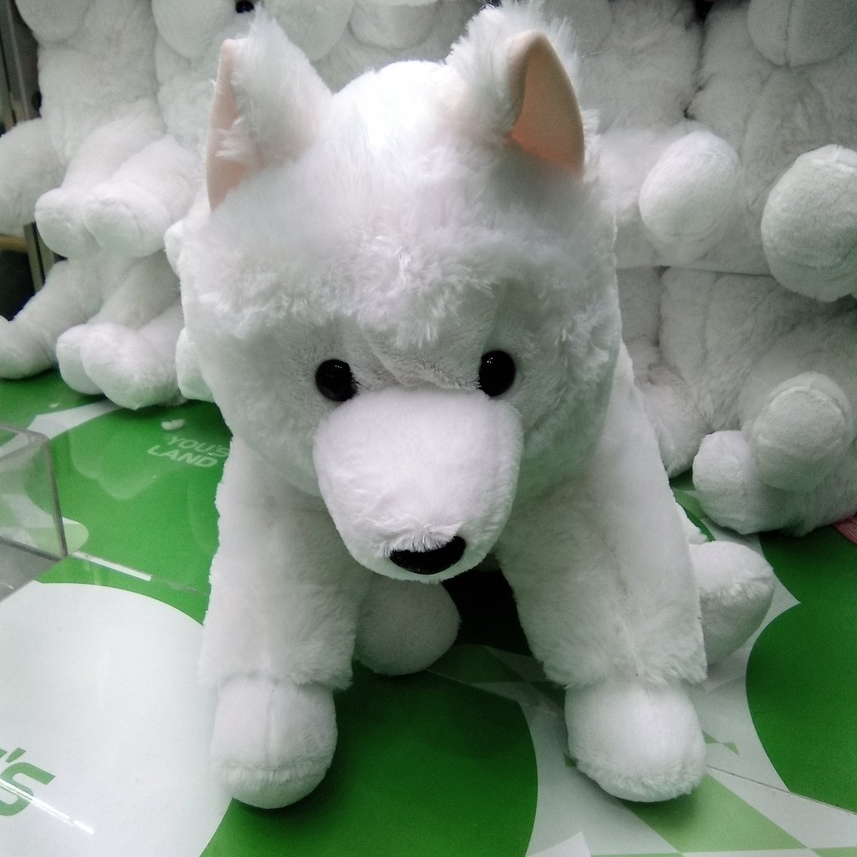 くったりサモエドくん VMCコンプリート ≪9月の新商品≫くったりサモエドくん-NEW ITEM！｜アミューズ