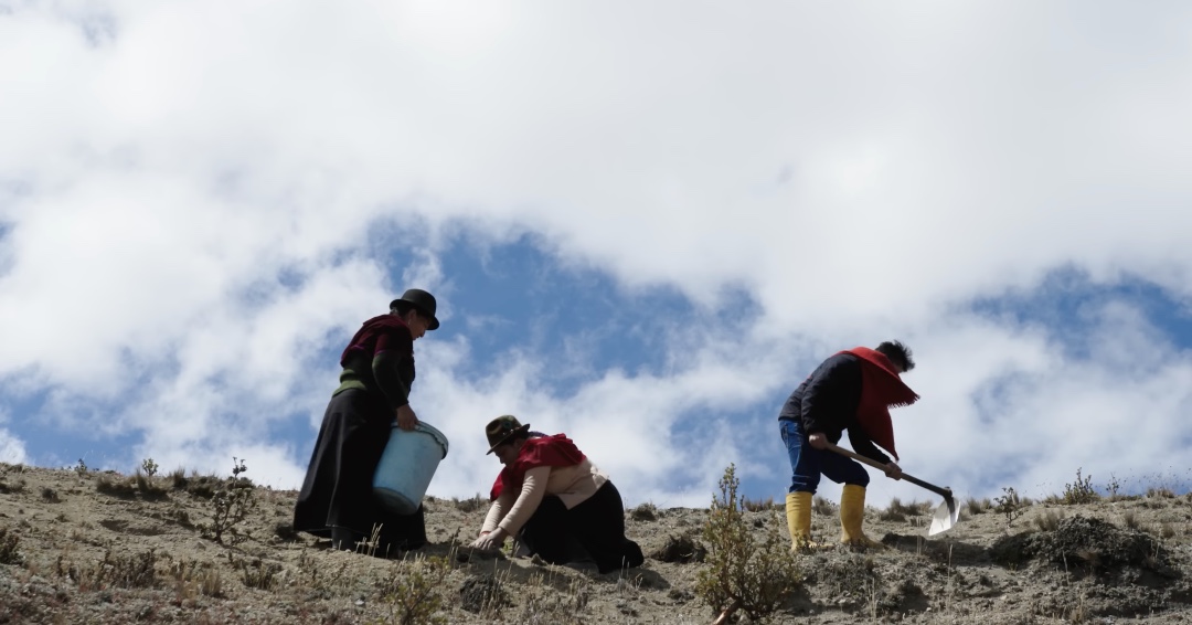 UN Decade on Ecosystem Restoration Advisory Board (@decade2restore) on Twitter photo From Ecuador to Peru, <a href="/accion_andina/">Acción Andina</a> unites 200+ local communities to protect & restore the Andean forests, home to 1/6 of all plant life on Earth. At the same time, their movement is also increasing local economic opportunities. Learn how they do it all: youtu.be/mN_MUnFVEpA?si… From Ecuador to Peru, <a href="/accion_andina/">Acción Andina</a> unites 200+ local communities to protect & restore the Andean forests, home to 1/6 of all plant life on Earth. At the same time, their movement is also increasing local economic opportunities. Learn how they do it all: youtu.be/mN_MUnFVEpA?si…