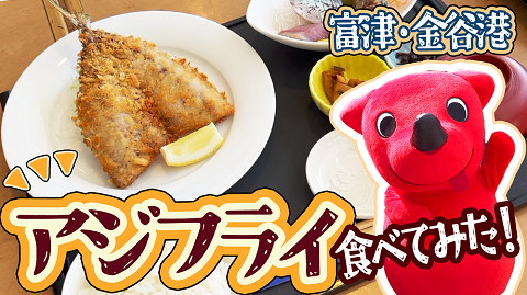 チーバくん on X: 
