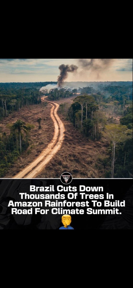 Brazil is facing accusations of hypocrisy after cutting down large sections of the Amazon rainforest to construct a road for the upcoming COP30 climate summit, according to The Telegraph.