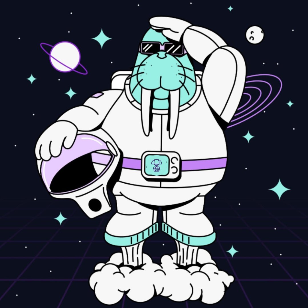 Sui Community💧 tweet media