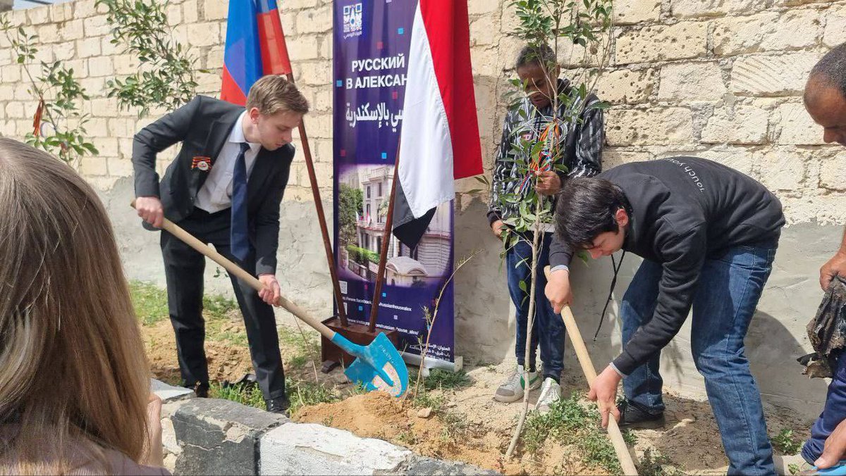 rsgov's tweet photo. The “Garden of Memory” campaign was launched abroad with the support of Russian Houses. Every participant planted a tree in honor of their loved one or a hero who gave his life for the future: https://t.co/BKiP9MP28S

#Russia #GardenOfMemory https://t.co/HVCijZ8bAG