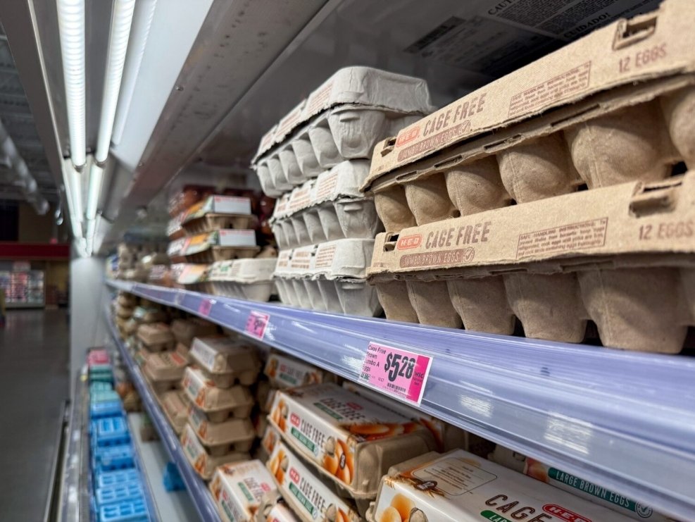 dbsmorocco's tweet image. ⚠️Curious about the cost of *one egg* around the world! 🥚🌍 How much does a single egg cost where you live? In Morocco? Share your location and price—let’s compare the differences between regions and countries! #EggPrices #GlobalComparison #Morocco