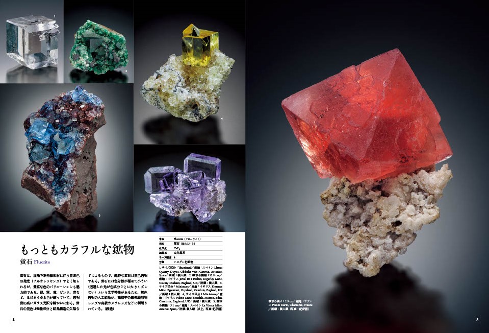 角川の集める図鑑GET!【公式】 (@zukan_get) on Twitter photo 💫鉱物のすごい写真集、本日発売💫『驚異の標本箱―鉱物―』ついに発売となりました!国内外240種以上の希少な鉱物が全詳細データつきで収録された他にはない永久保存版的一冊!A4判で迫力満点の写真をお楽しみください!!kadokawa.co.jp/product/322408…
<a href="/watanabe_kats/">渡邉 克晃(わたなべ かつあき)</a> <a href="/fluor_doublet/">山猫だぶ㌠</a> <a href="/keysminerals/">Key's Minerals</a> 💫鉱物のすごい写真集、本日発売💫『驚異の標本箱―鉱物―』ついに発売となりました!国内外240種以上の希少な鉱物が全詳細データつきで収録された他にはない永久保存版的一冊!A4判で迫力満点の写真をお楽しみください!!kadokawa.co.jp/product/322408…
<a href="/watanabe_kats/">渡邉 克晃(わたなべ かつあき)</a> <a href="/fluor_doublet/">山猫だぶ㌠</a> <a href="/keysminerals/">Key's Minerals</a>