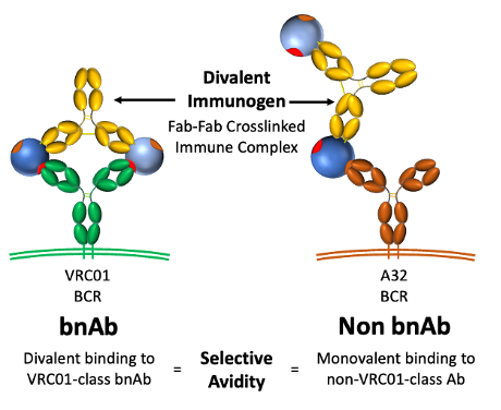 Ryan Bailey tweet media