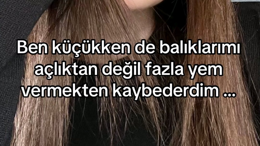 ANLIK (@anlikmod) on Twitter photo 