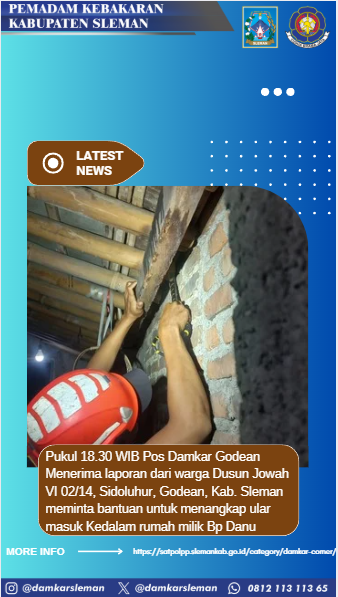 damkarsleman's tweet photo. Selasa, 18 Maret 2025 pukul 18.30 WIB  Pos Damkar Godean mendapat laporan permintaan evakuasi ular masuk rumah warga milikBp Danu, yang beralamat di Jowah VI 02/14, Sidoluhur, Godean, Kab. Sleman. Ular berjenis cincin emas berhasil dievakuasi. https://t.co/QRplnEyYKA