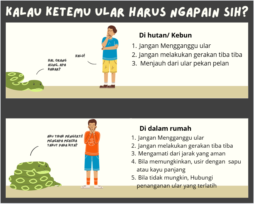 damkarsleman's tweet photo. Selasa, 18 Maret 2025 pukul 18.30 WIB  Pos Damkar Godean mendapat laporan permintaan evakuasi ular masuk rumah warga milikBp Danu, yang beralamat di Jowah VI 02/14, Sidoluhur, Godean, Kab. Sleman. Ular berjenis cincin emas berhasil dievakuasi. https://t.co/QRplnEyYKA
