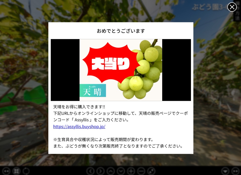 Softmediatwi's tweet photo. 株式会社ヤマナカ様（茨城県結城市）の360度VR（バーチャル）ツアーを作成しました。実際の農園を撮影して、バーチャルブドウ狩りツアーを体験できます。ポップアップを開くとお得なクーポンを取得できるなど、遊び心もいっぱいです。
https://t.co/8XoxEa8MCP
 #バーチャルツアー #VRツアー https://t.co/BcTCPieJyp