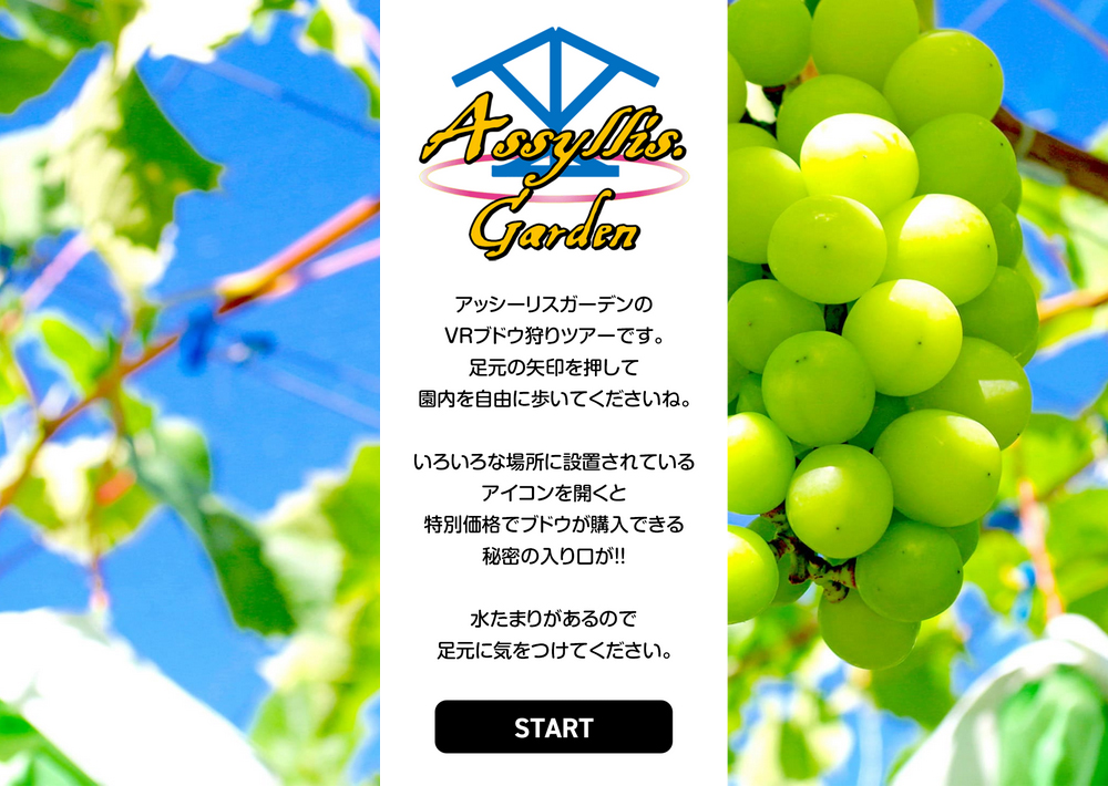 Softmediatwi's tweet photo. 株式会社ヤマナカ様（茨城県結城市）の360度VR（バーチャル）ツアーを作成しました。実際の農園を撮影して、バーチャルブドウ狩りツアーを体験できます。ポップアップを開くとお得なクーポンを取得できるなど、遊び心もいっぱいです。
https://t.co/8XoxEa8MCP
 #バーチャルツアー #VRツアー https://t.co/BcTCPieJyp