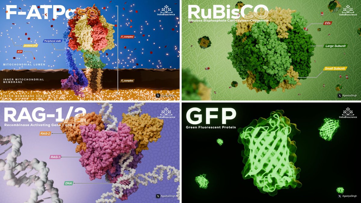 IndiaBioscience.org tweet media