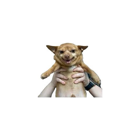 michellleale's tweet photo. me bc my life altering meds are working and making me actually give a fuck about myself https://t.co/8kgqZxSvCA