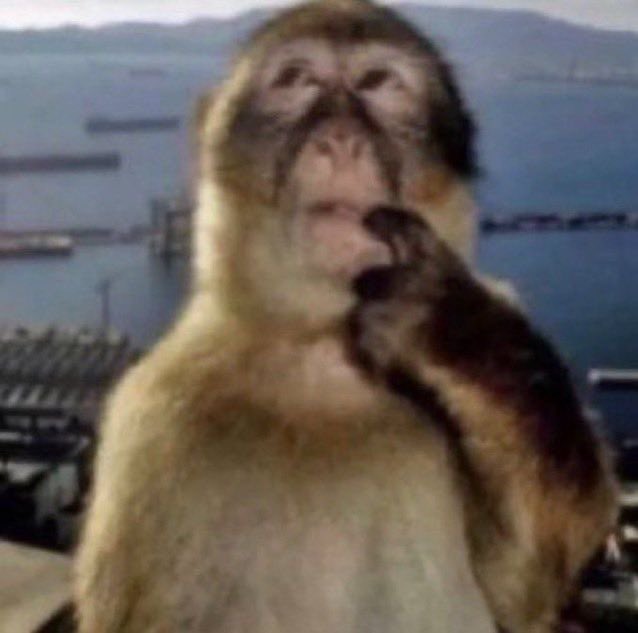 ㅤ ㅤCertas coisas nessa rede me fazem questionar o quão sem senso a(s) pessoa(s) pode(m) serkkkkk, mas quem sou eu pra julgar né!?