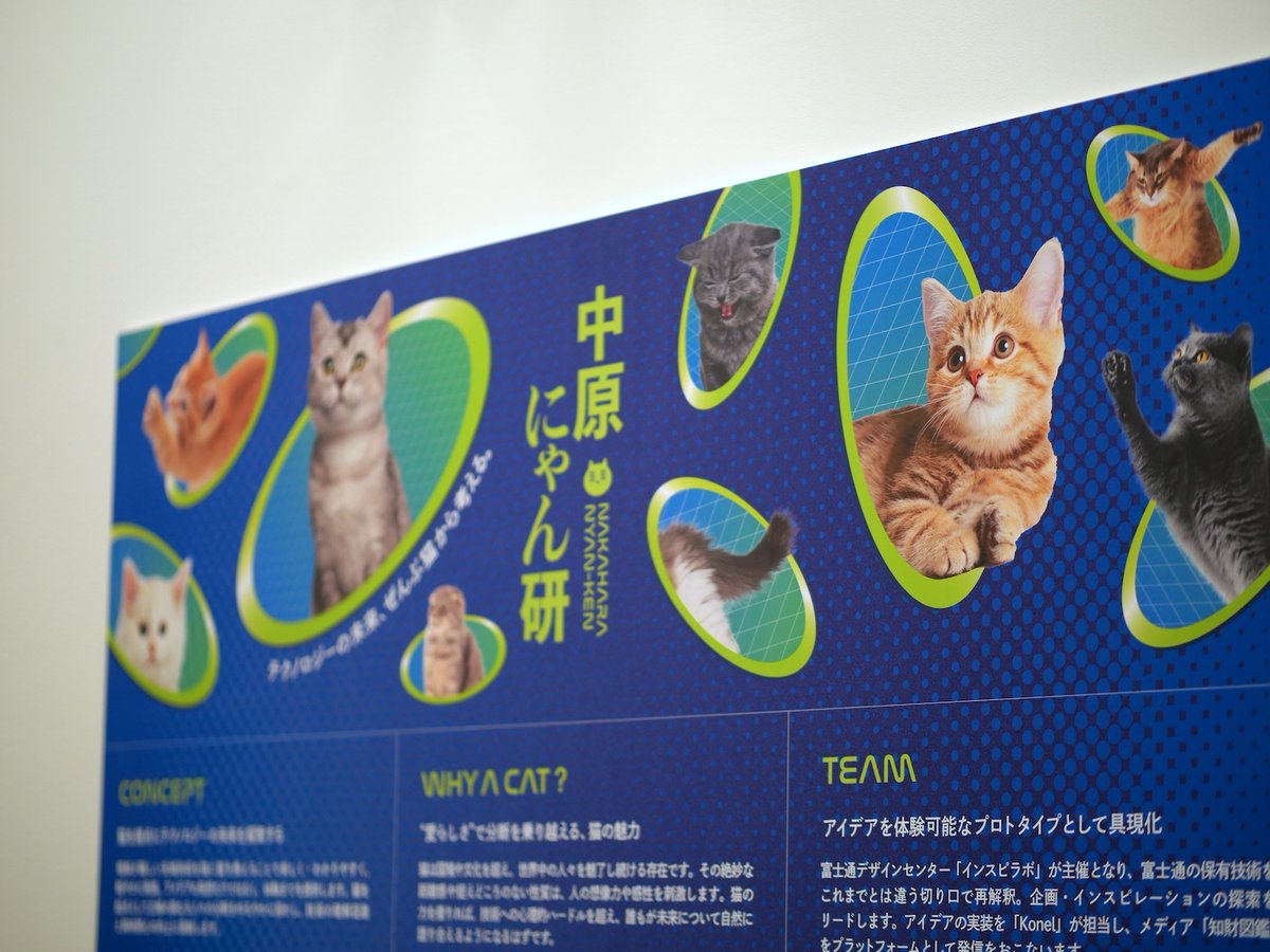 hellokonel's tweet photo. 【本日ラストデー】
3/18〜3/19(水)の間だけ新作プロト体験会開催中！
テクノロジーを“猫”で解釈してアイデアを実装するプロジェクト「中原にゃん研」 
https://t.co/isM2DdEK7U
#ミカン下北「砂箱」にてプロトタイプ【meowave（ミャオウェーブ）】の体験会を⚡️本日まで⚡️開催です。 
@Fujitsu_design https://t.co/G7NJVntPKK