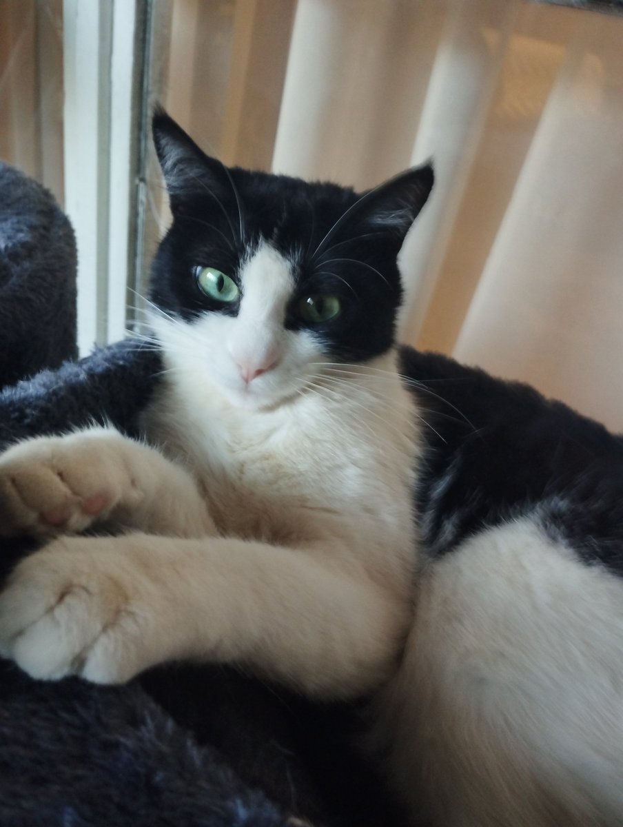 Teason (@teasonhiden) on Twitter photo 