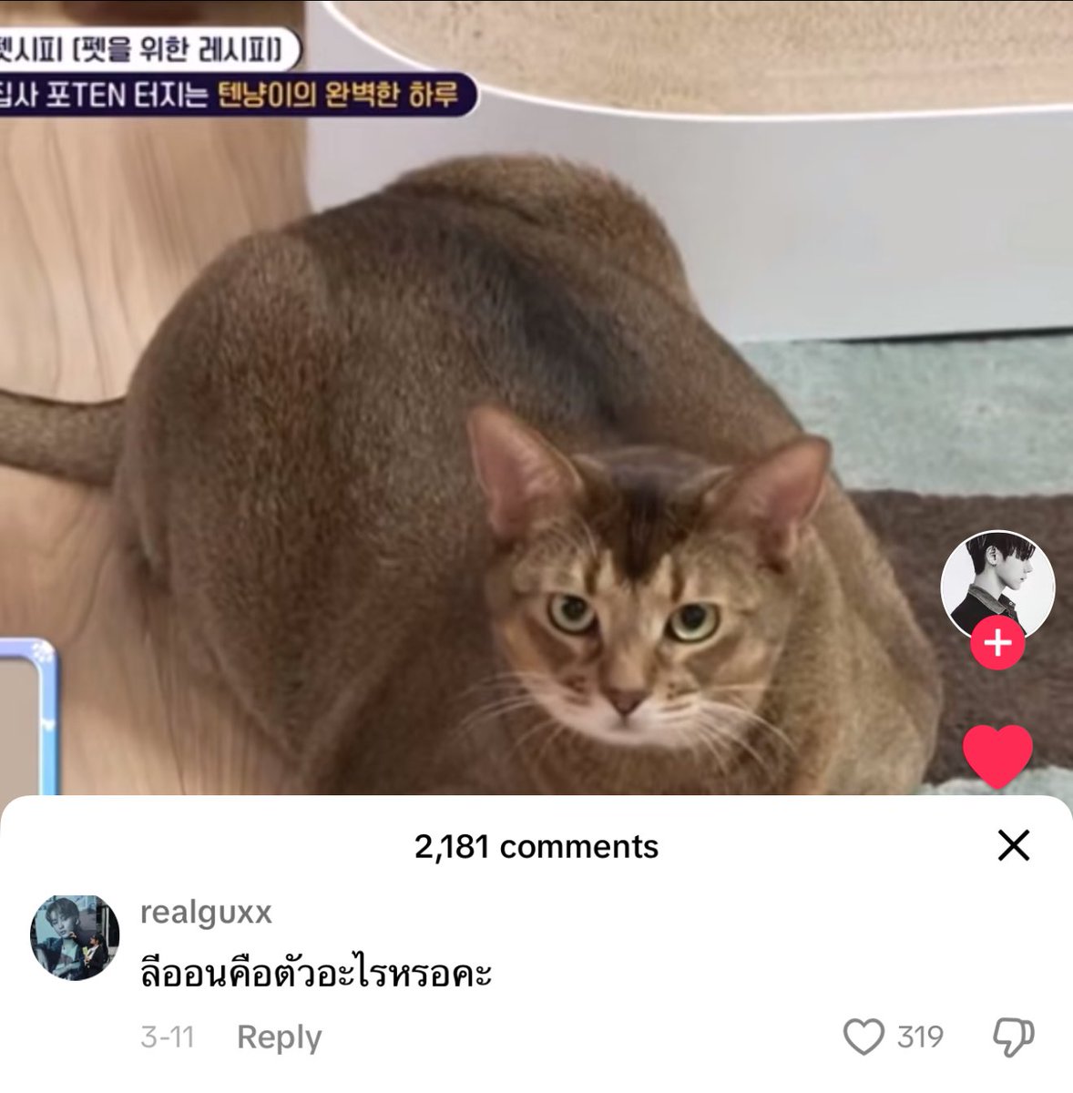 จูเอ้ว (@juistheju) on Twitter photo 