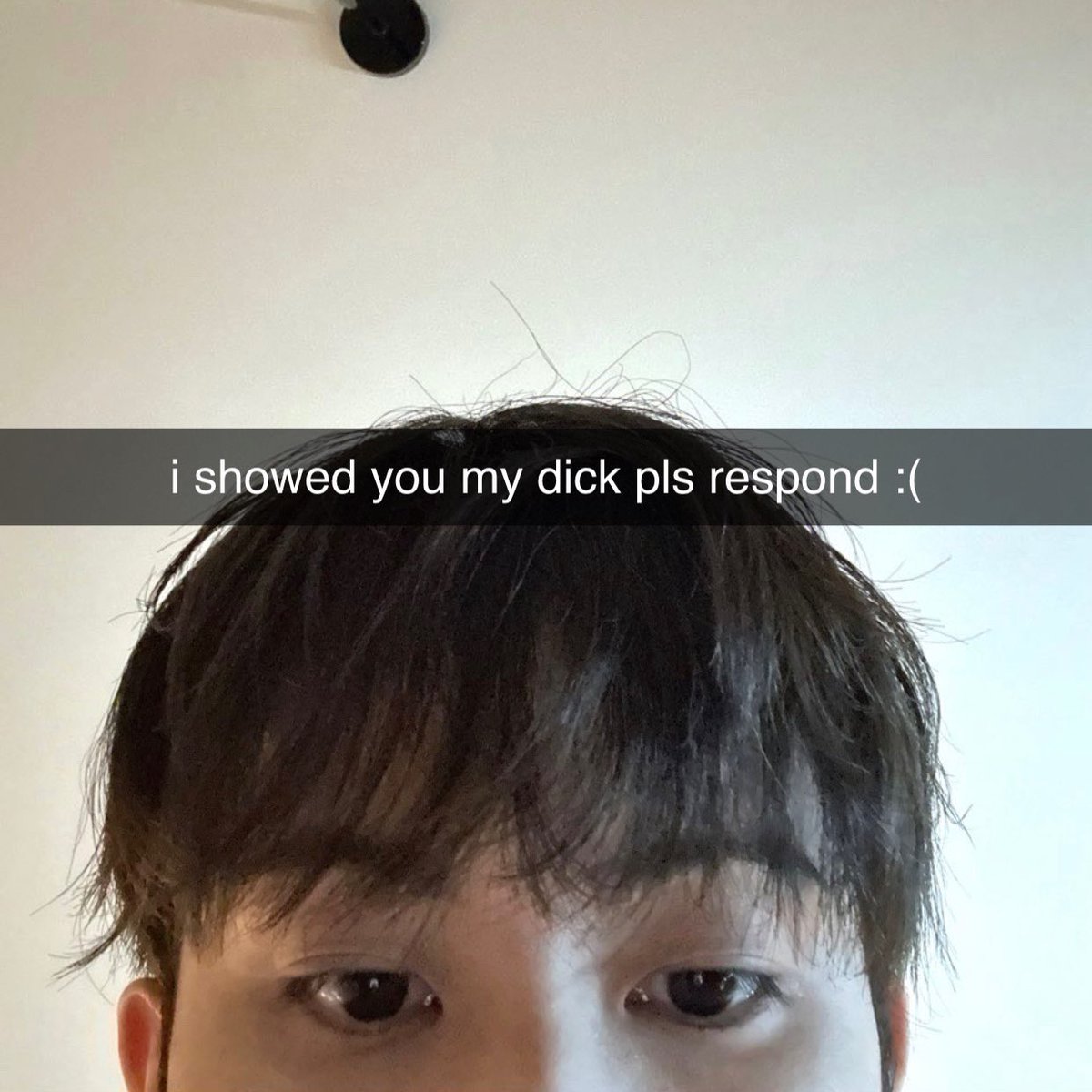 luna ꕤ tweet media