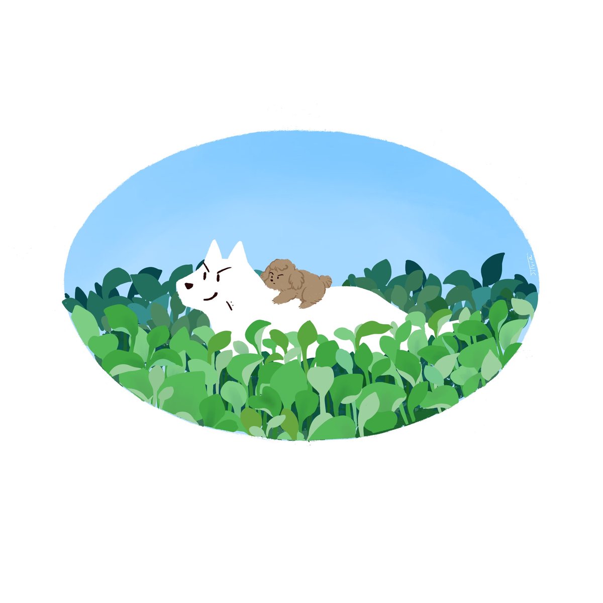 #태섭대만
#リョ三
小狗过河