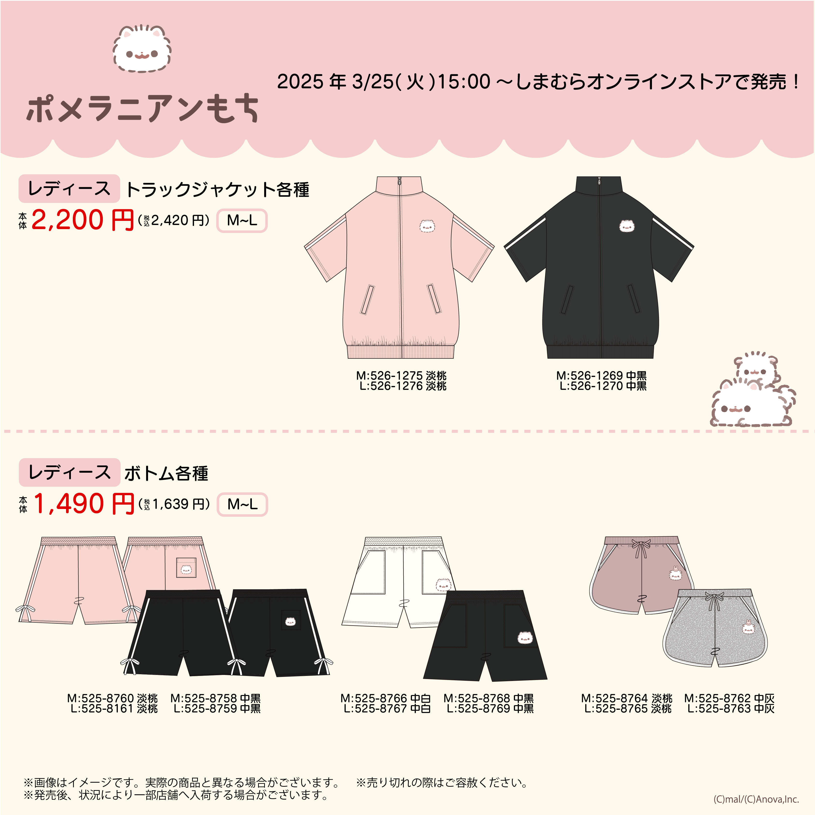 ポメラニアンもち on X: 