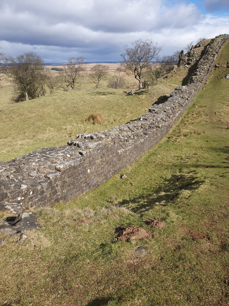 Zesty_King3's tweet photo. Thought I'd bring my Islander on a hike to Hadrian's Wall. Just finished the full 84 miles yesterday. @lotuseaters_com https://t.co/vg4vEX9Vr1