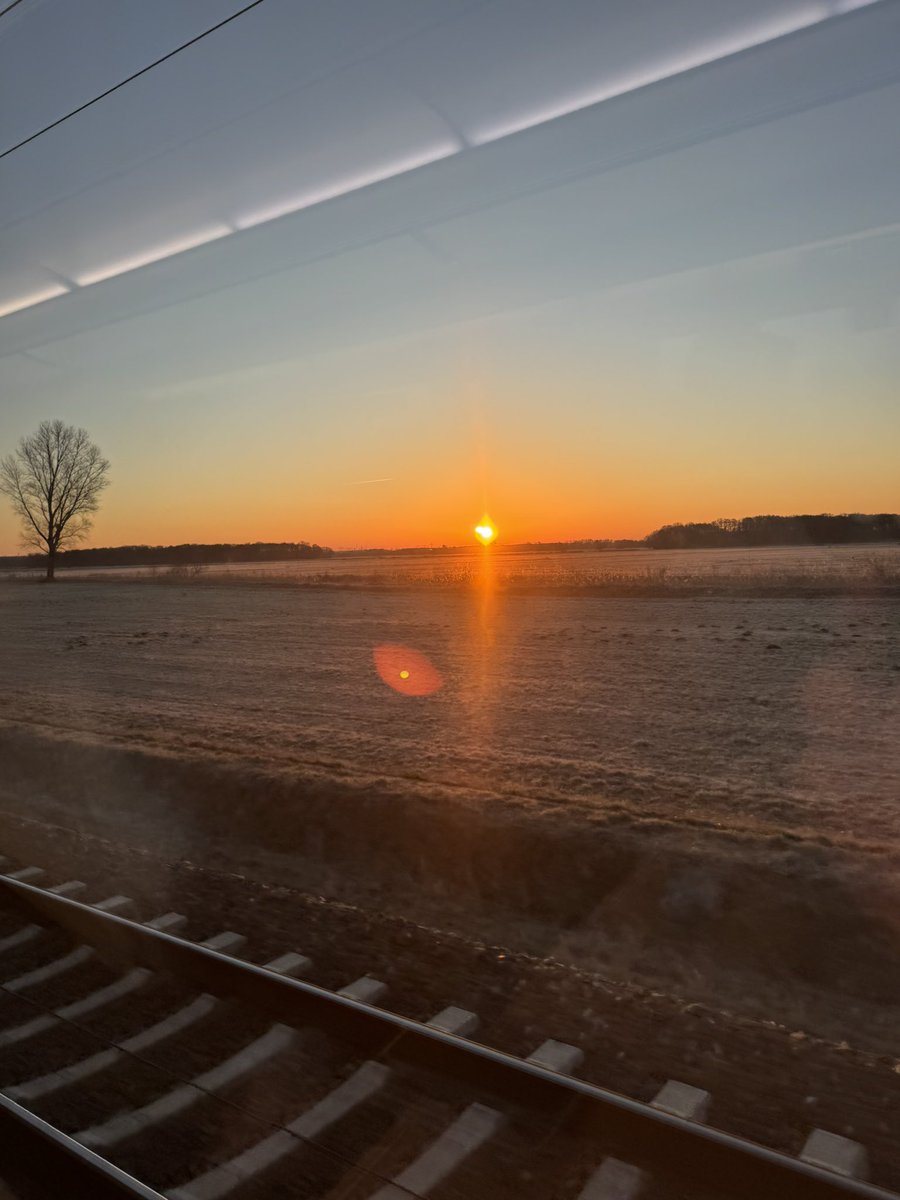 Peter Tinnemann tweet media