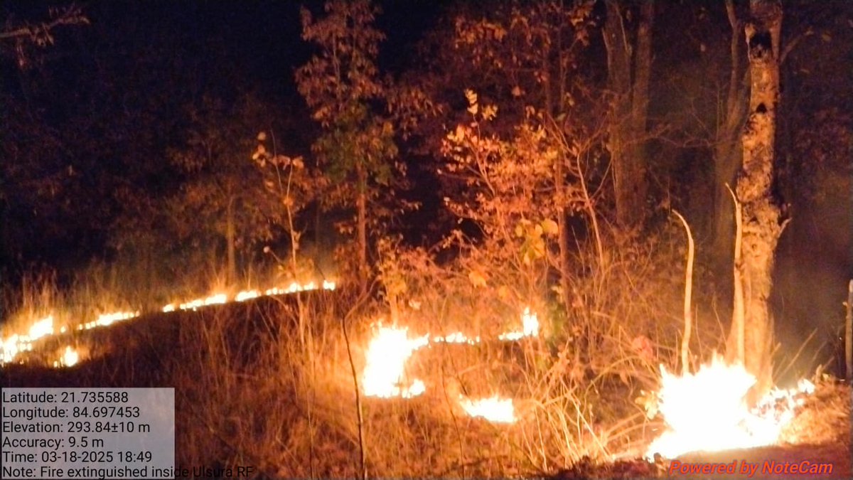 DfoBonai's tweet photo. In Ulsura RF, Lachhada beat, Ramchhinda section, #JardaRange, #forestfire was #successfully #extinguished, #saving the forest. Frontline staff, under the direction of ACF & RO Jarda, monitored and extinguished the fire.
@pccfodisha
@Prem_CWLWOdisha
@RourkelaRc79045 https://t.co/U3s3qEclti