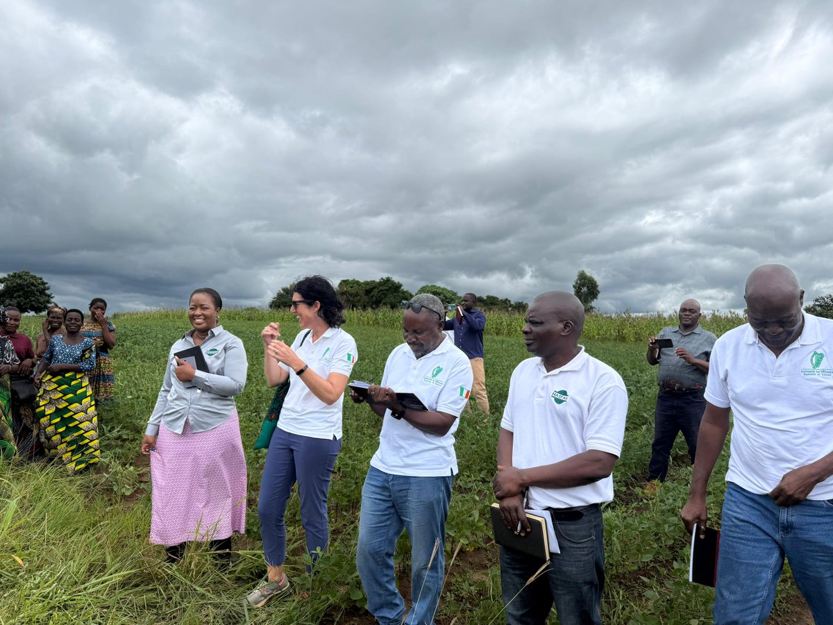 Were honored to host the Irish Embassy at our Ntchisi Office! The visit showcased NASFAM’s initiatives in seed banking, value addition &amp; livestock pass-on programs, reinforcing support for smallholder farmers. #SustainableFarming #NASFAMImpact