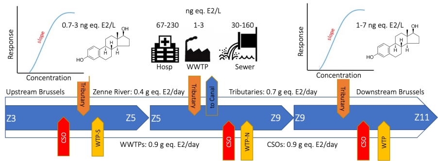 Water Emerging Contaminants & Nanoplastics💧🌊 tweet media