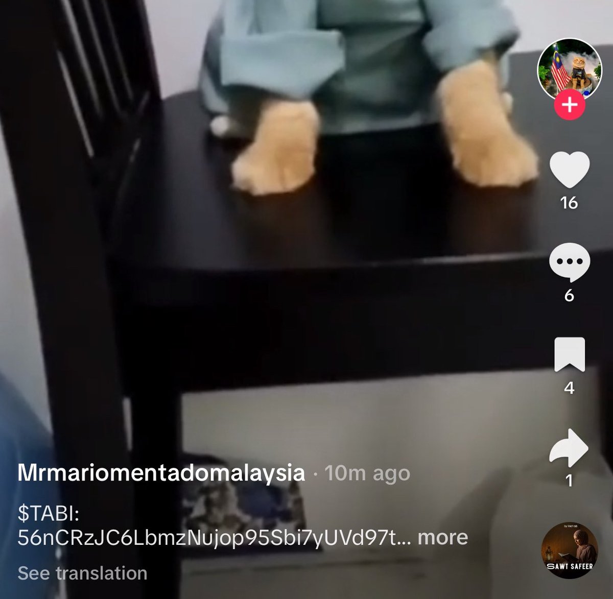 mrmariocat's tweet photo. The $TABI Cat owner just posted the Ticker and CA on TikTok! ❤️🐱 This is crazy

https://t.co/dTN7IJ81PD https://t.co/NEruBXvJF0