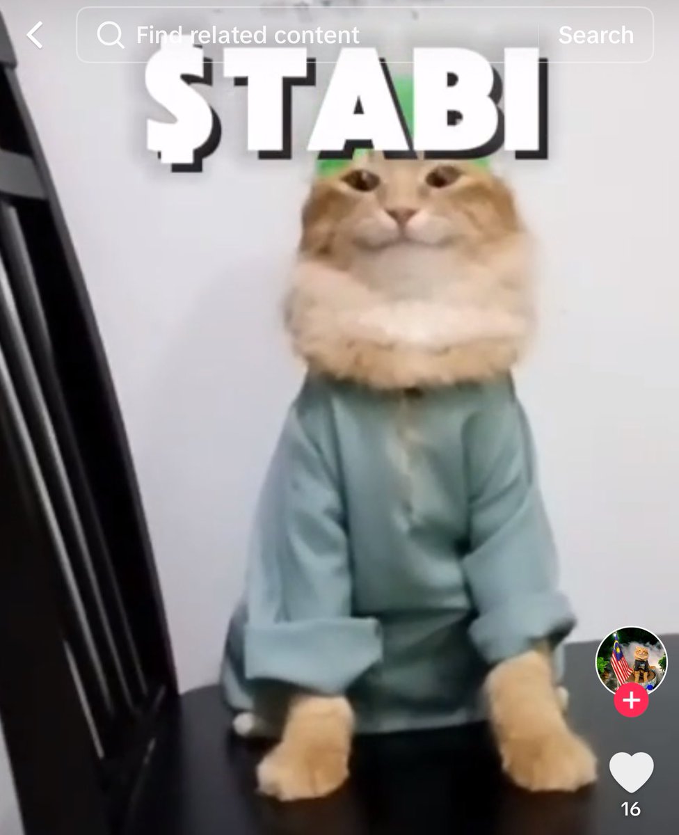 mrmariocat's tweet photo. The $TABI Cat owner just posted the Ticker and CA on TikTok! ❤️🐱 This is crazy

https://t.co/dTN7IJ81PD https://t.co/NEruBXvJF0