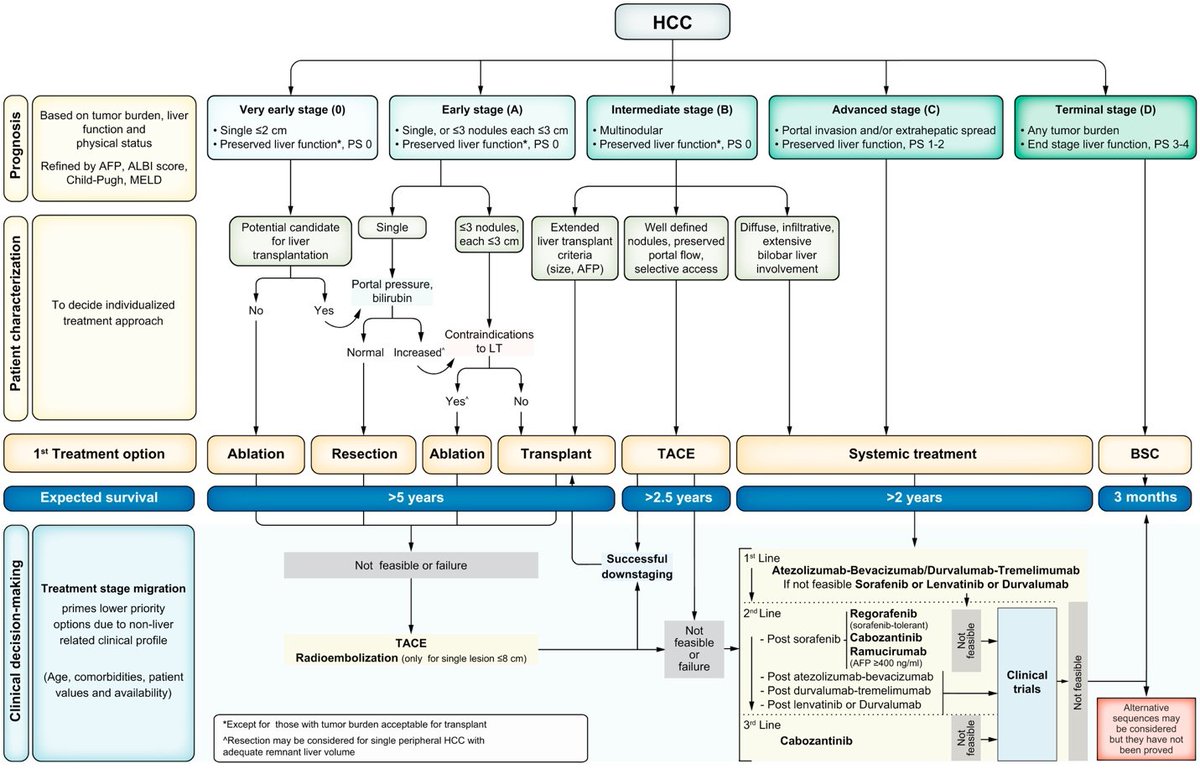 HepatomaRes's tweet photo. 👀New Hope for #HepatocellularCarcinoma: Combined Locoregional and Systemic Therapy
✅#LocoregionalTherapies (LRT)
✅Advancing Systemic Therapy
✅Combined Therapy Potential
✅#TACTICSTrial Results
#LiverCancerTreatment #CancerResearch #HCCResearch
🔗https://t.co/fvq2uy3tEP https://t.co/xNNlLFSm6Z