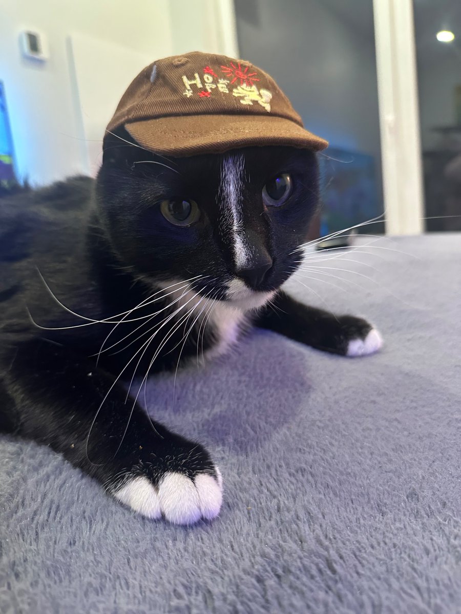 honeypotjoonie's tweet photo. only reason i bought the army b0mb hat https://t.co/TVg125C5oD