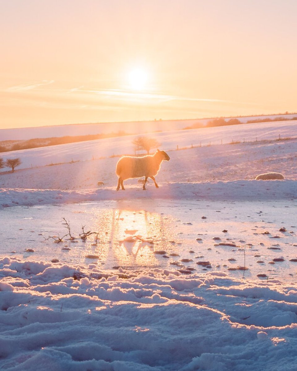 sdnpa's tweet image. If you haven&apos;t clocked it already, today is the last day of astronomical winter. 

Tomorrow: a new dawn and a new season. 

Let&apos;s go!

📷 Michael Steven Harris 

#SouthDowns #SpringIsComing