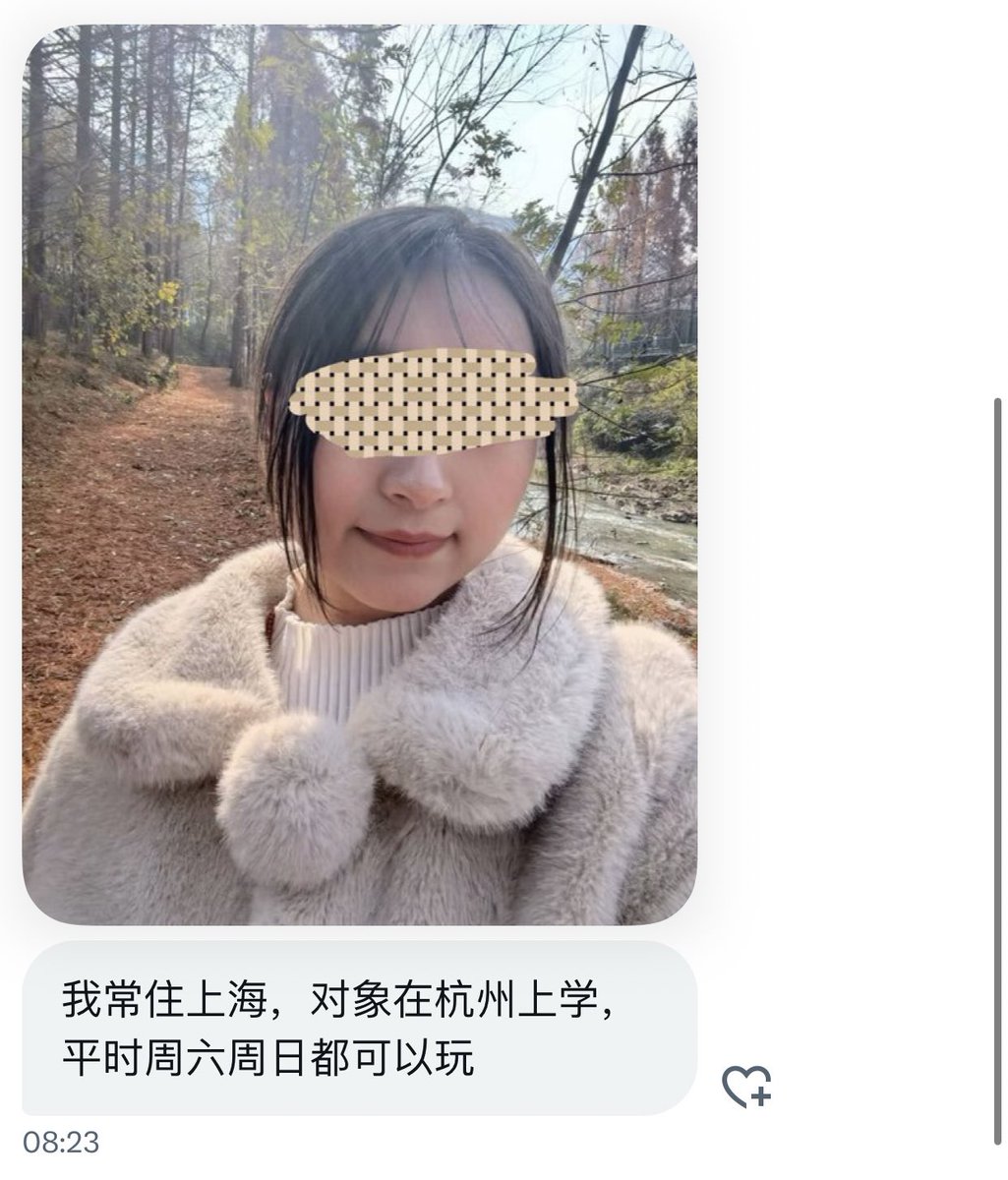 魔都投稿 tweet media