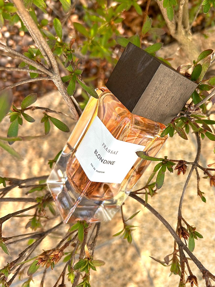 FRASSAÏ (@frassai) / Posts / X