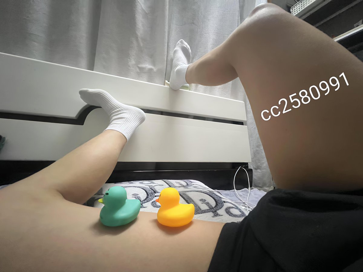 门前大桥下，游过一群鸭🦆