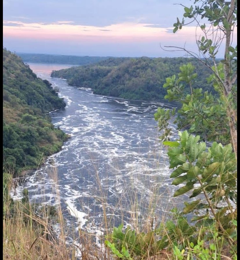 The Nile river plunging through a narrow gorge, creating a thunderous roar &amp; a permanent rainbow mist, making it the most powerfull water fall in the world ,Murchison falls is a must visit ,  to create memories on this safari experience book <a href="/gatsiosafariz/">Gatsiosafariz</a> ; ☎️+256778005651🤝🚌😎
