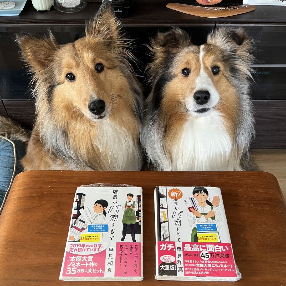 晴耕雨読こそすべて。 (@m2021spring) on Twitter photo まさかの‼️既刊本のサイン本get🙌
術後の傷口が開かない程度に、狂喜乱舞してます😂
買い逃していた早見和真先生の店長シリーズ2冊同時にお迎えです📚✨
芳林堂書店高田馬場店さま、本当にありがとうございます☺️
#店長がバカすぎて
#新店長がバカすぎて
#早見和真先生
#サイン本
<a href="/horindobaba/">芳林堂書店|高田馬場店【高田馬場駅徒歩1分ロータリー沿いドンキ上】</a> まさかの‼️既刊本のサイン本get🙌
術後の傷口が開かない程度に、狂喜乱舞してます😂
買い逃していた早見和真先生の店長シリーズ2冊同時にお迎えです📚✨
芳林堂書店高田馬場店さま、本当にありがとうございます☺️
#店長がバカすぎて
#新店長がバカすぎて
#早見和真先生
#サイン本
<a href="/horindobaba/">芳林堂書店|高田馬場店【高田馬場駅徒歩1分ロータリー沿いドンキ上】</a>
