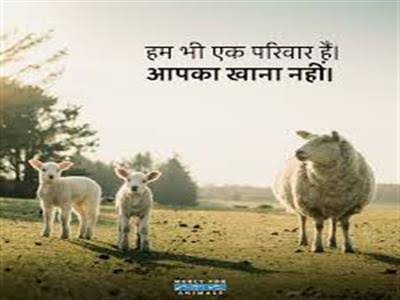 तन को करता कौन खराब।
अंडा मछली मांस शराब।।
Jai Gurudev 
परमार्थ के स्तम्भ 
#शाकाहारी_सदाचारी_नशामुक्त_जीवन