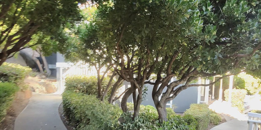 francinegregory's tweet image. Becoming Me: Shifting Focus From Distraction to Direction: lttr.ai/AclDl

#StartedMaking #OriginalVision #OthersProjects