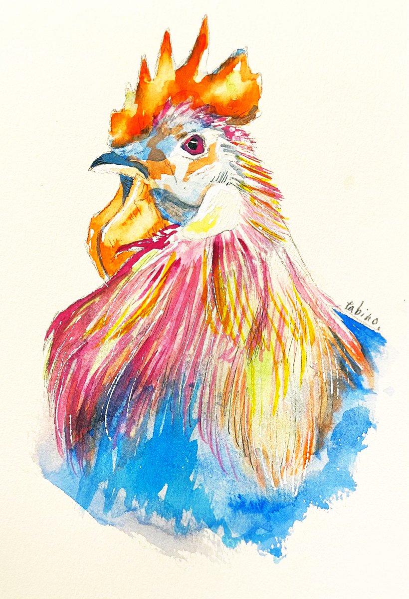 久しぶりに水彩で着彩してみました。#にわとり #鳥イラスト #水彩 」|
