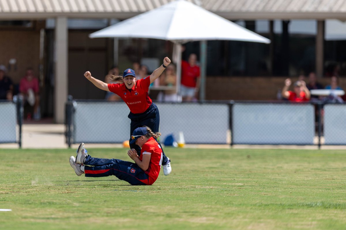 Bentleigh CC tweet media