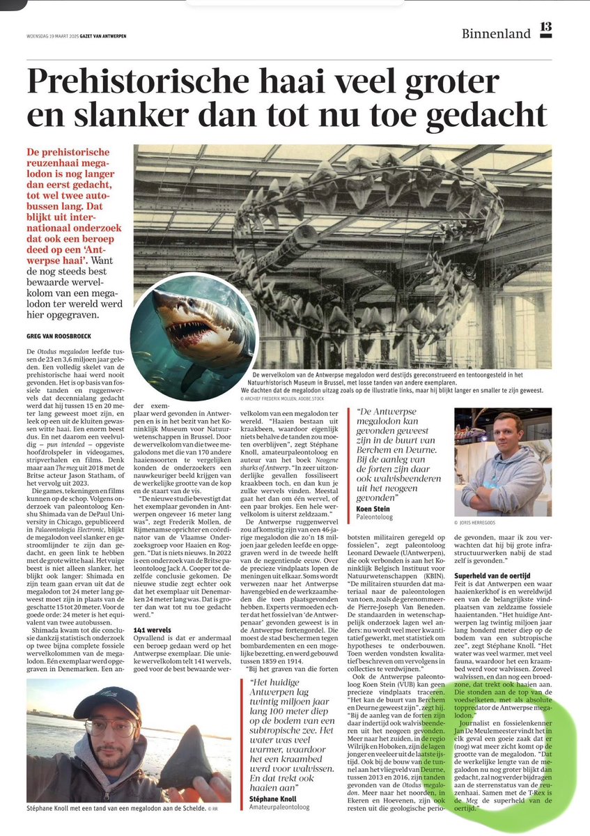 Fossieltweet's tweet photo. Over de megalodon aka ‘The Meg’ in de Gazet van Antwerpen 🤓 Opnieuw levert Antwerpen wereldnieuws op het vlak van de paleontologie. Antwerpen is een haaienkerkhof, een absolute hotspot van fossiele reuzenhaaien. https://t.co/KCmxrSMYoh