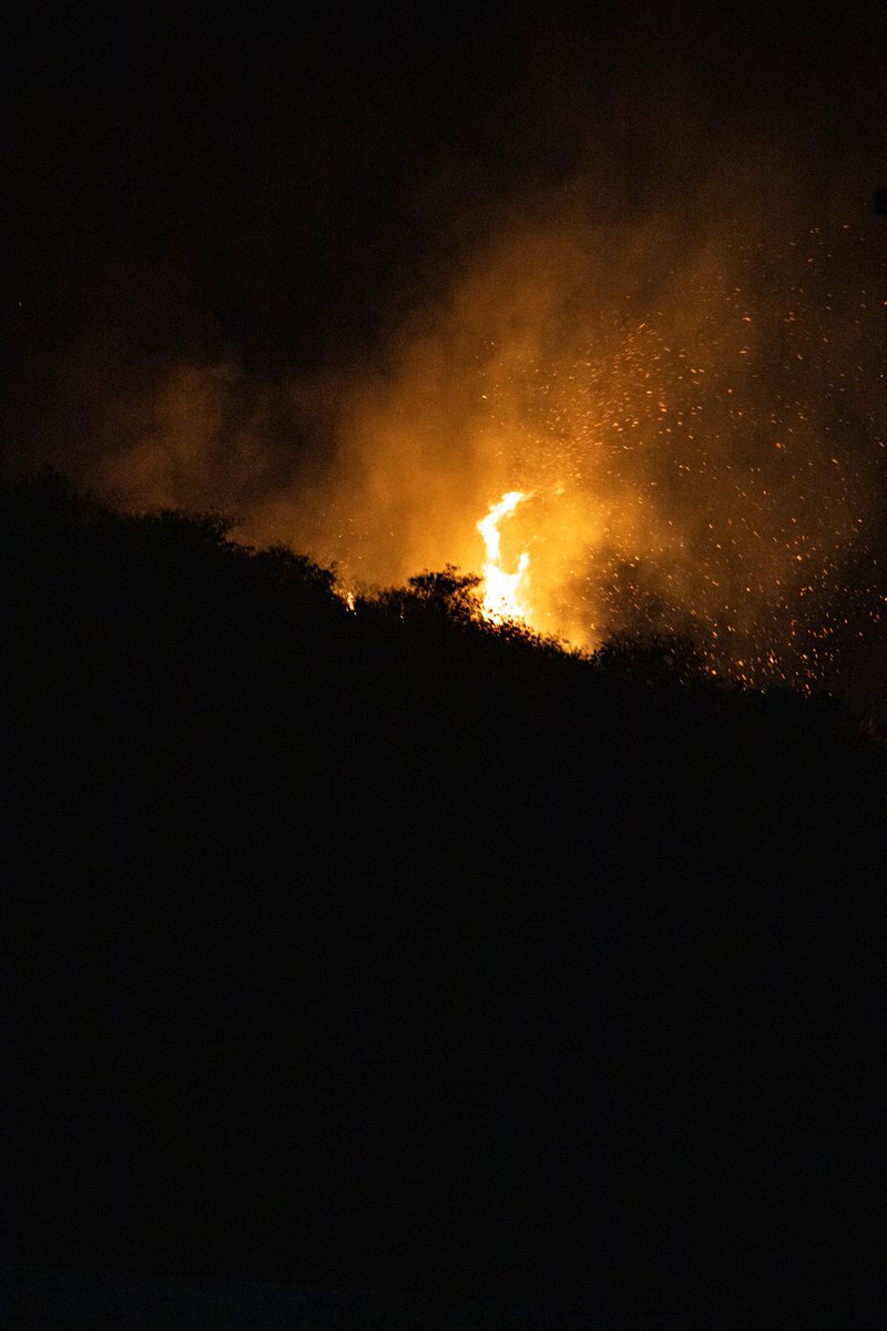 RL_analog's tweet photo. Fire. https://t.co/KRl5Ics3sS